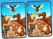 Spot 5 Differences Deserts